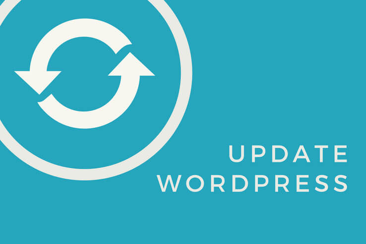 Opdater wordpress