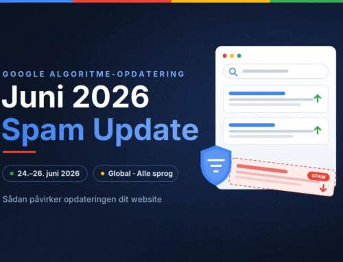 juni 2026 spam update